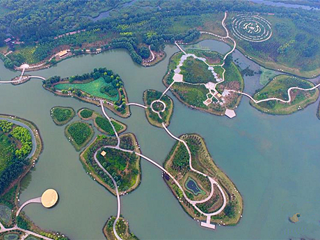 河南鹤壁：淇河湿地生态美